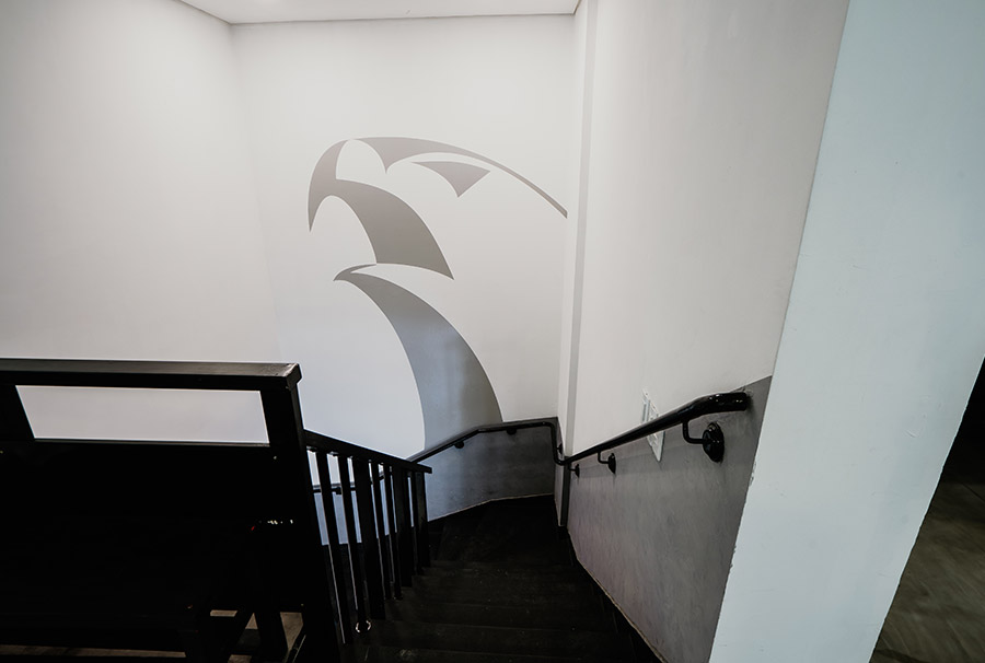 Alliance Jiu Jitsu Batel